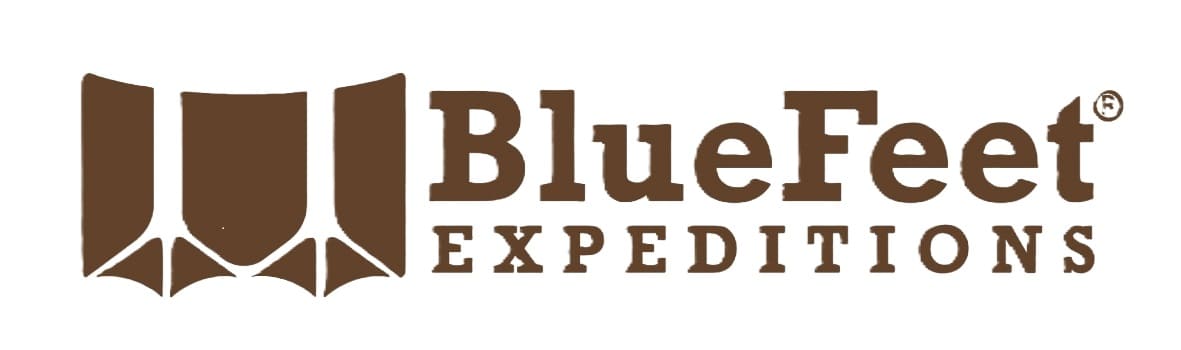 BlueFeet Logo